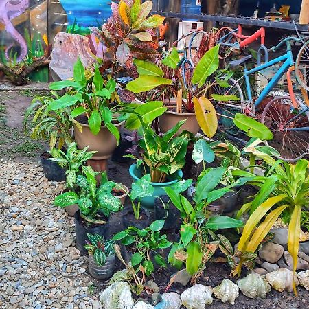 Castaway Native Huts Apartment San Vicente  Ngoại thất bức ảnh
