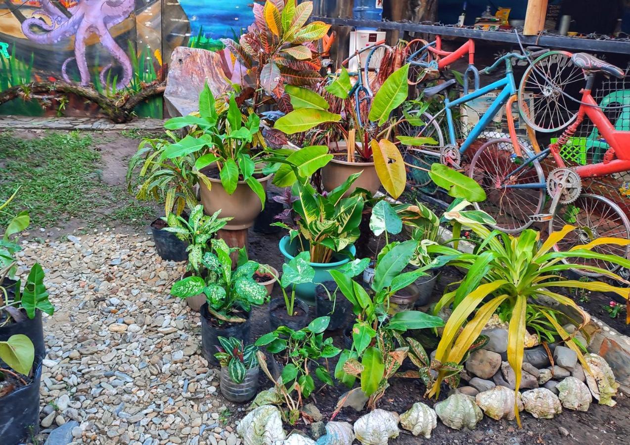 Castaway Native Huts Apartment San Vicente  Ngoại thất bức ảnh